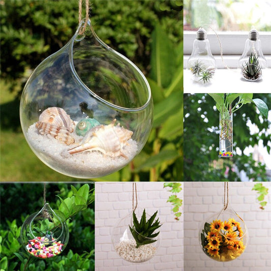 Hanging Glass Ball Vase Flower Plant Pot
