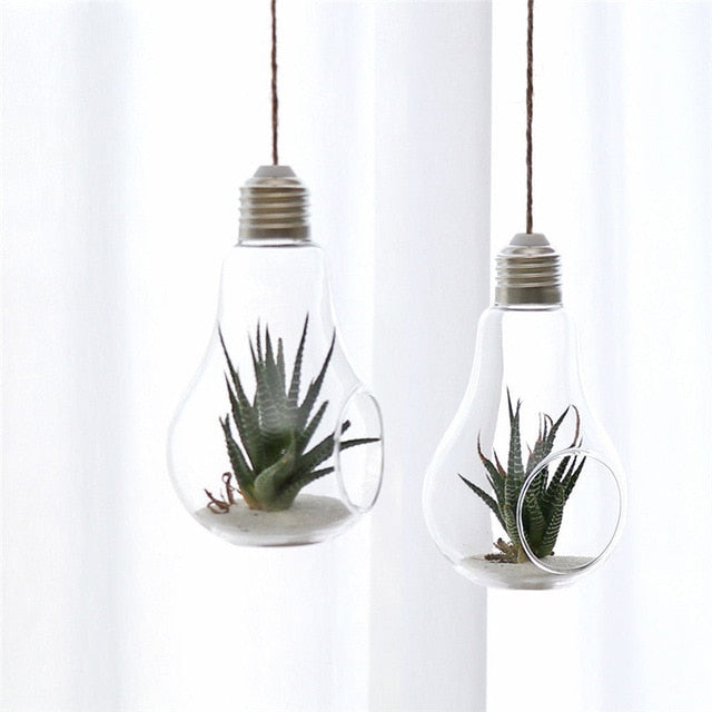 Hanging Glass Ball Vase Flower Plant Pot