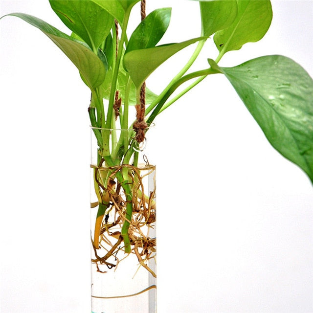 Hanging Glass Ball Vase Flower Plant Pot