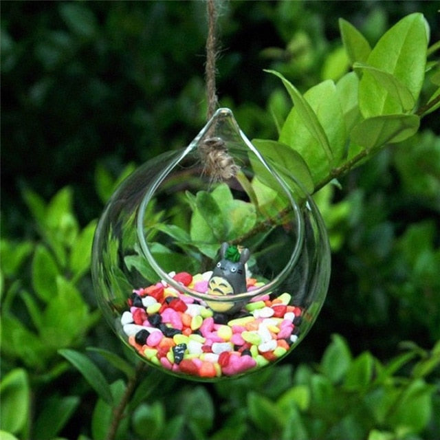 Hanging Glass Ball Vase Flower Plant Pot