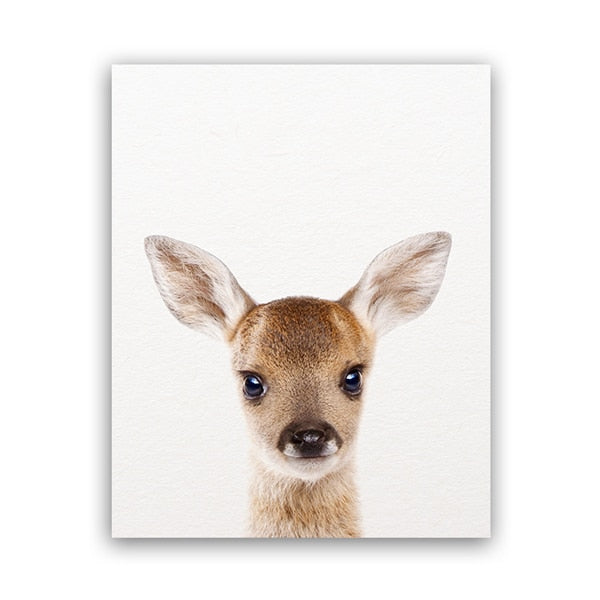 Animals Art Print Poster Wall Decor