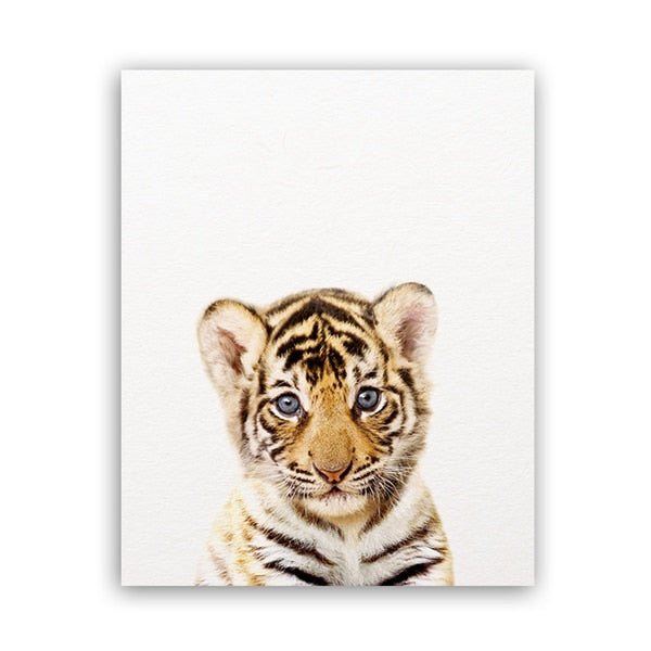 Animals Art Print Poster Wall Decor