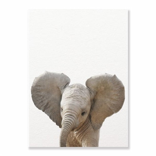 Animals Art Print Poster Wall Decor