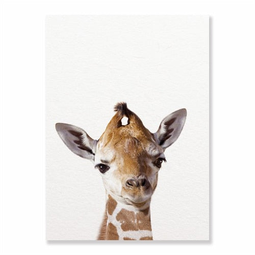 Animals Art Print Poster Wall Decor
