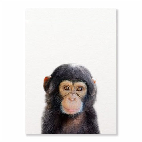 Animals Art Print Poster Wall Decor