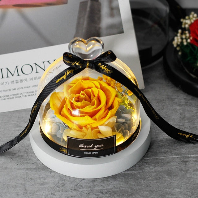 Exclusive Rose In Glass Dome With Lights