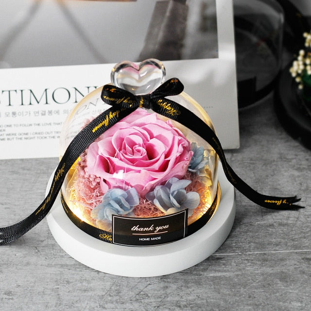 Exclusive Rose In Glass Dome With Lights