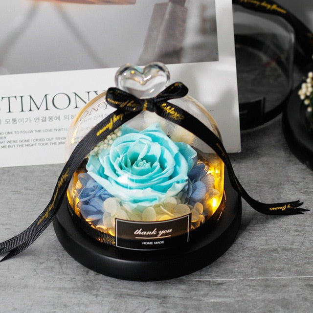 Exclusive Rose In Glass Dome With Lights