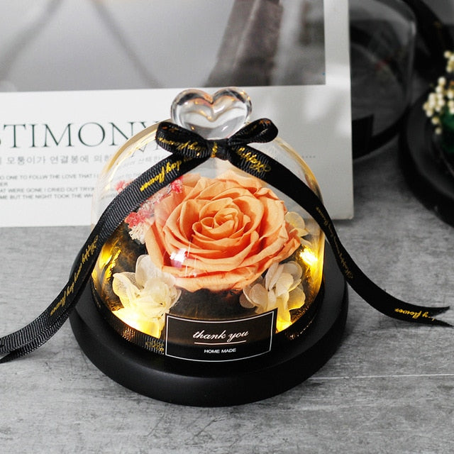 Exclusive Rose In Glass Dome With Lights