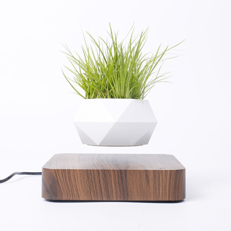 Magnetic Floating Pot Potted Plant