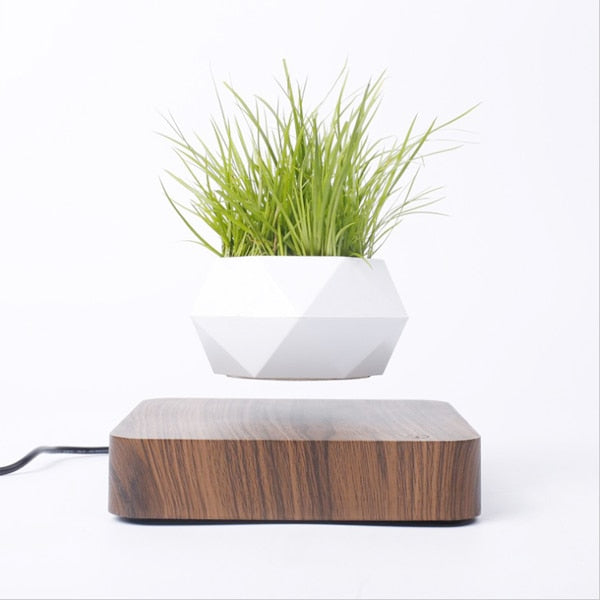 Magnetic Floating Pot Potted Plant
