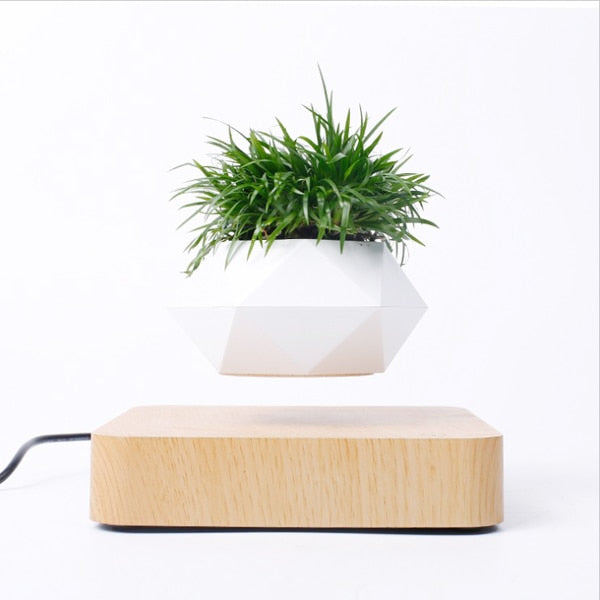 Magnetic Floating Pot Potted Plant