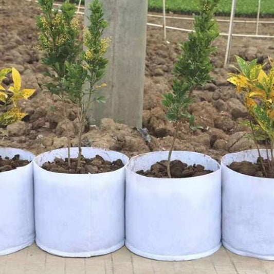 Non Woven Grow Bag Aeration Pot