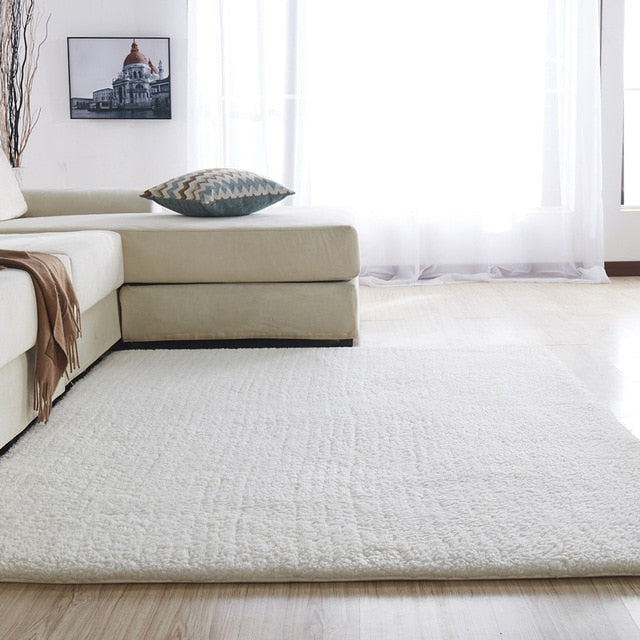 Plush Anti-slip Soft Carpet
