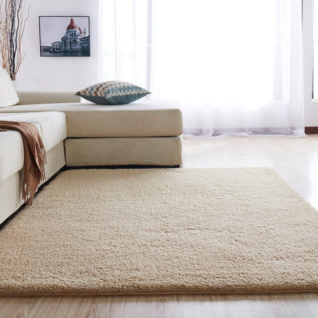 Plush Anti-slip Soft Carpet