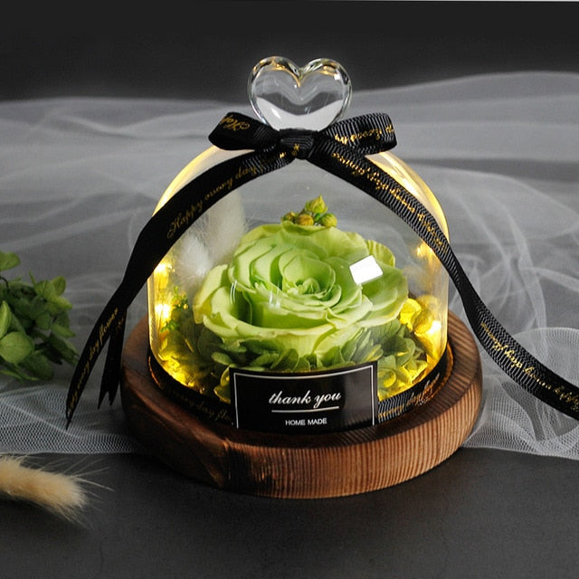 Exclusive Rose In Glass Dome With Lights