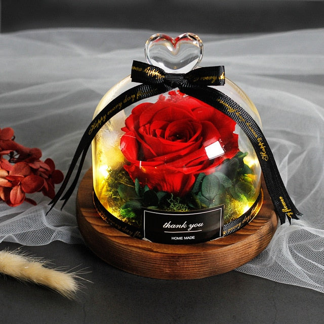 Exclusive Rose In Glass Dome With Lights