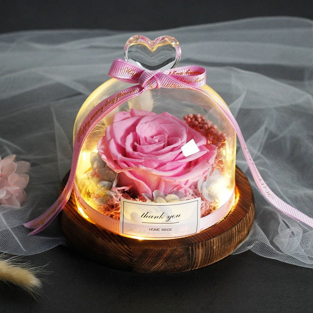 Exclusive Rose In Glass Dome With Lights