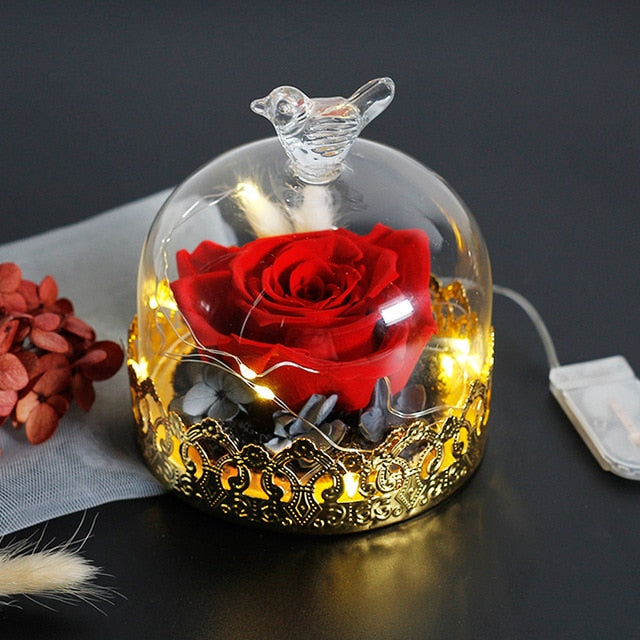 Exclusive Rose In Glass Dome With Lights