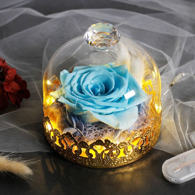 Exclusive Rose In Glass Dome With Lights