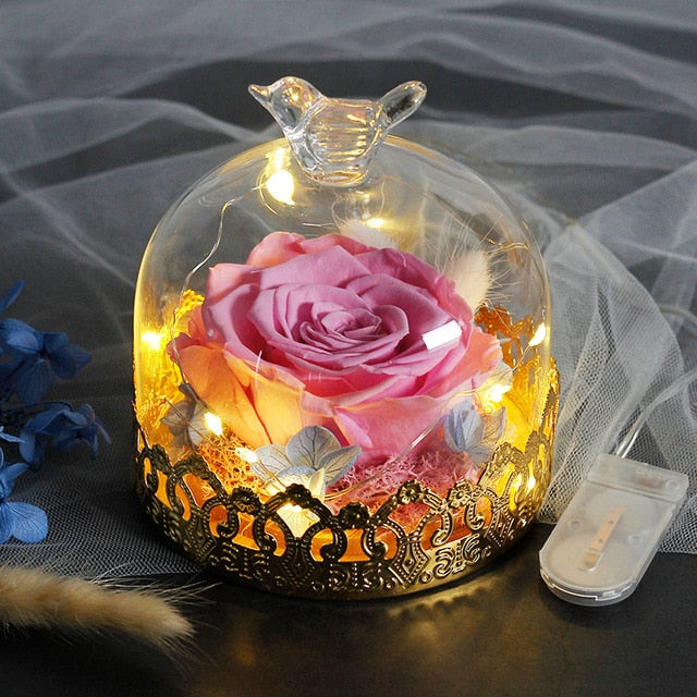 Exclusive Rose In Glass Dome With Lights