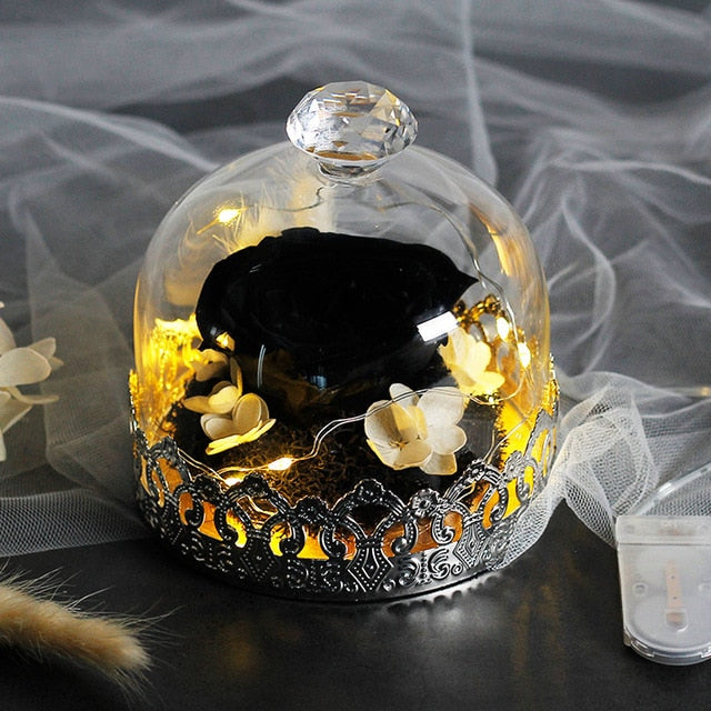 Exclusive Rose In Glass Dome With Lights