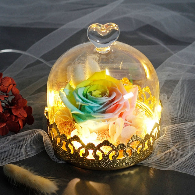 Exclusive Rose In Glass Dome With Lights