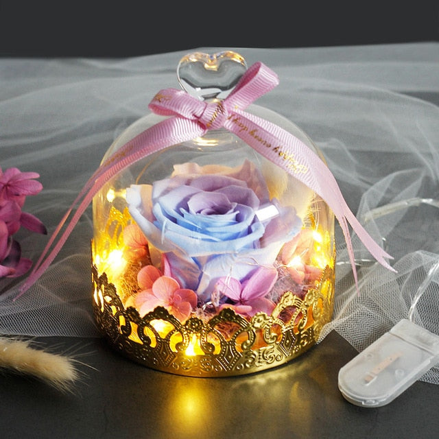 Exclusive Rose In Glass Dome With Lights