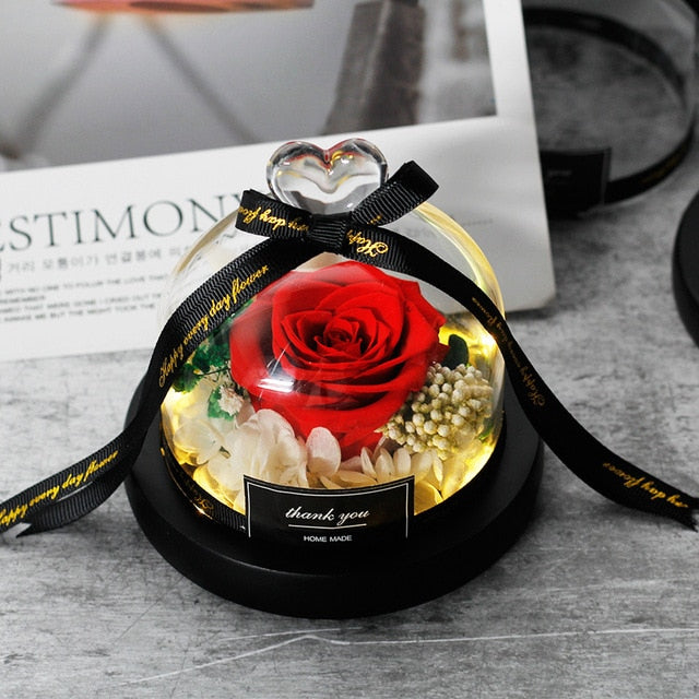 Exclusive Rose In Glass Dome With Lights