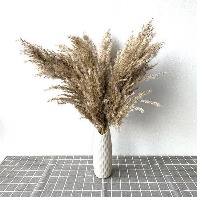 Pampas Dried Flowers Bunch Feather