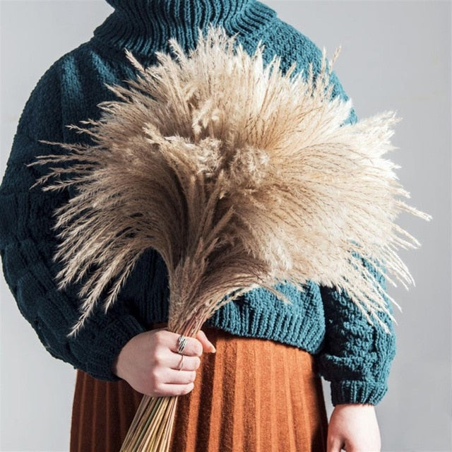 Pampas Dried Flowers Bunch Feather