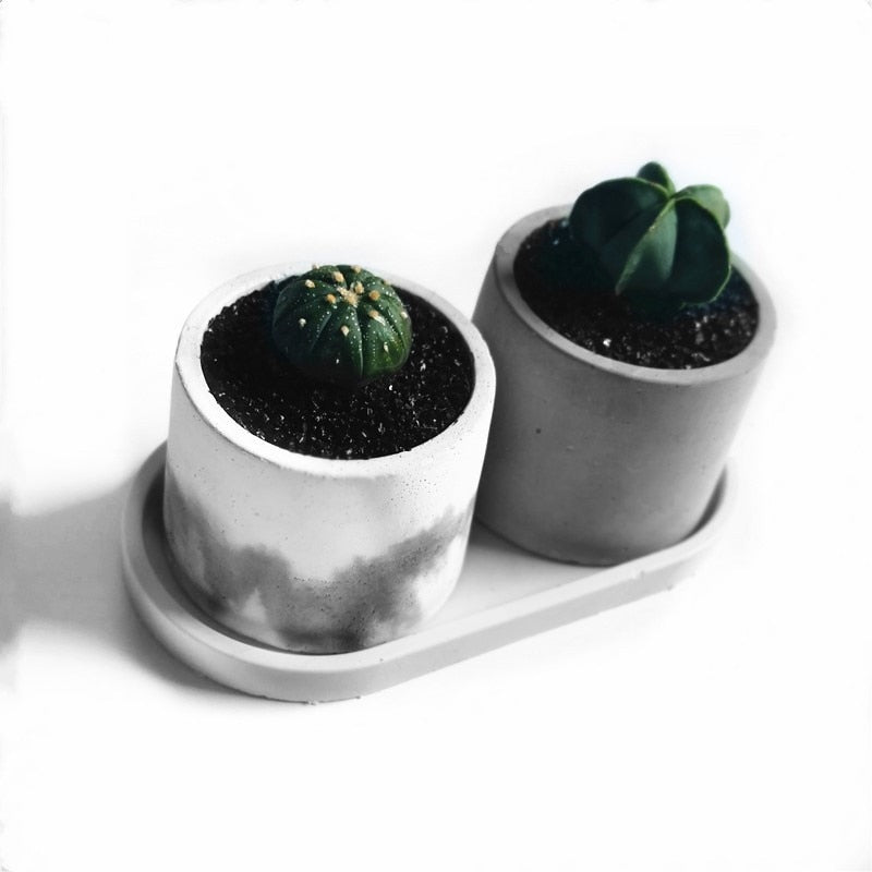 DIY Concrete Molds Cement Planter