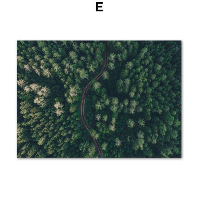 Green Forest Leaves Fog Mountain Quotes Wall Art