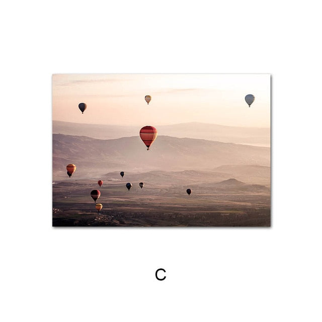 Canvas Print Protea Flower Balloon Wall Art Painting