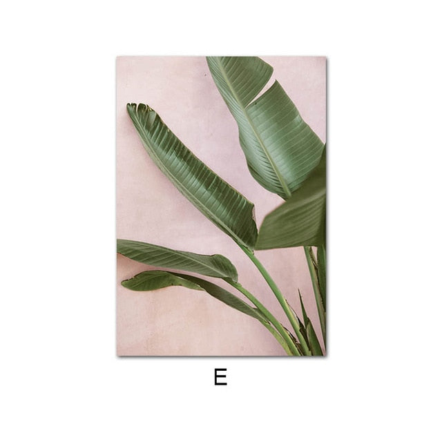 Canvas Print Protea Flower Balloon Wall Art Painting
