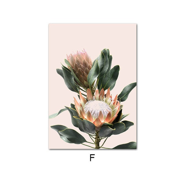 Canvas Print Protea Flower Balloon Wall Art Painting