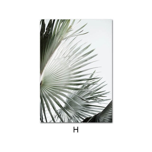 Canvas Print Protea Flower Balloon Wall Art Painting