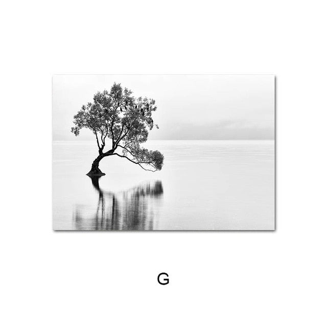 Scandinavian Black White Nature Landscape Poster