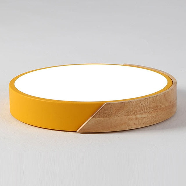 Round Multicolor LED Ceiling Light Modern Lamp