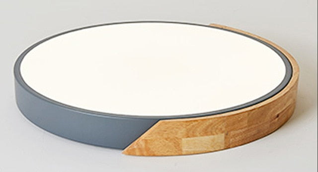 Round Multicolor LED Ceiling Light Modern Lamp