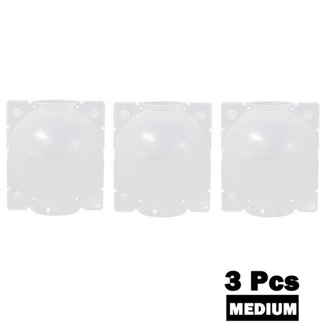 Plant Root Growing Box Gardening