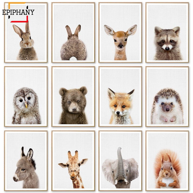 Baby Animal Posters and Prints