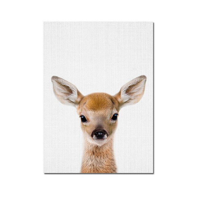 Baby Animal Posters and Prints