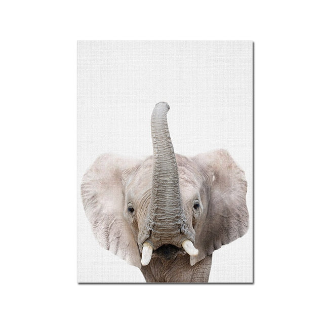 Baby Animal Posters and Prints