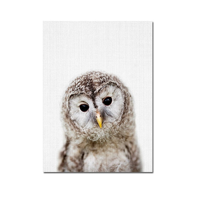 Baby Animal Posters and Prints