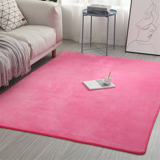 Newest Coral Velvet Carpet  Water Absorption