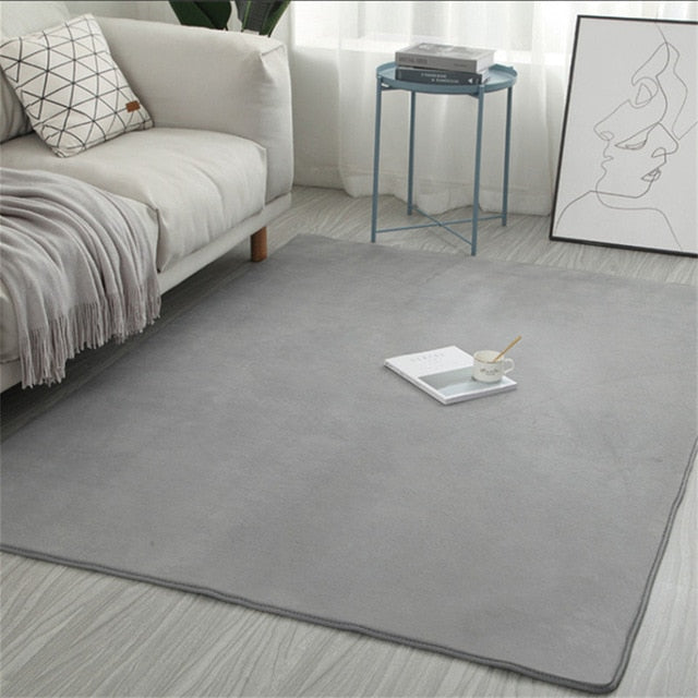 Newest Coral Velvet Carpet Water Absorption