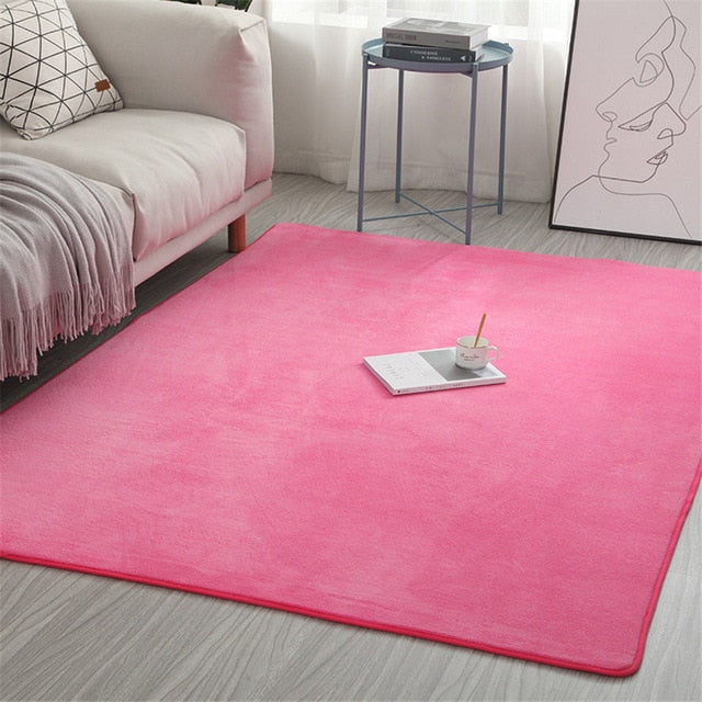 Newest Coral Velvet Carpet Water Absorption
