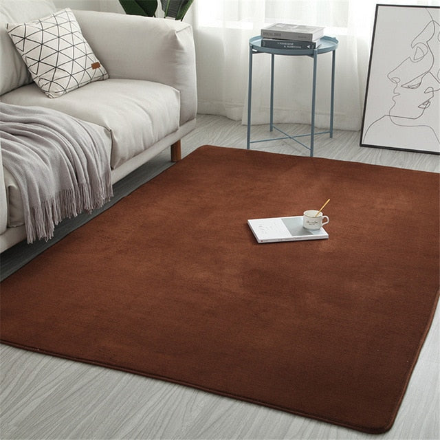 Newest Coral Velvet Carpet Water Absorption