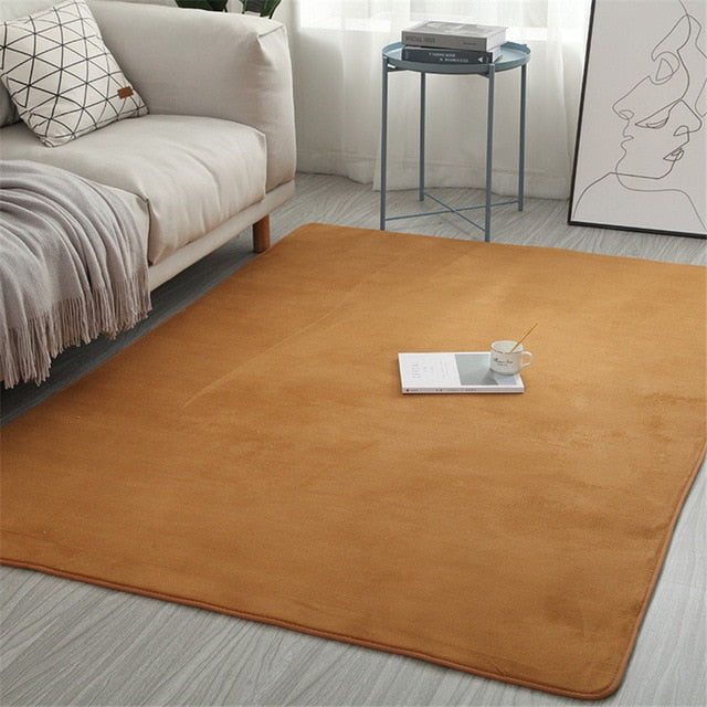 Newest Coral Velvet Carpet Water Absorption